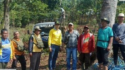 Kasi Madya PSDH Beserta Jajaran Pantau Langsung Tebang Habis Pinus di BKPH Sumber Wringin