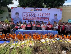 Operasi Tumpas Narkoba Semeru 2024, Polres Lumajang Berhasil Ungkap 16 Kasus dan Bongkar Ladang Ganja di TNBTS