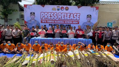 Operasi Tumpas Narkoba Semeru 2024, Polres Lumajang Berhasil Ungkap 16 Kasus dan Bongkar Ladang Ganja di TNBTS