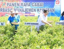 Pj Bupati Bojonegoro Melaksanakan Panen Raya Cabai Berbasis Manajemen Kawasan