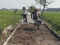 Penuh Sampah Plastik, Pengerjaan Rabat JUT Desa Tiron Terkesan Asal-Asalan