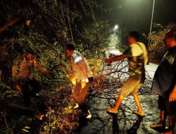Polisi dan Warga Bersama Evakuasi Pohon Tumbang di Kecamatan Malo