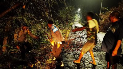 Polisi dan Warga Bersama Evakuasi Pohon Tumbang di Kecamatan Malo