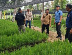 Kasi Utama Bidang Pembibitan dan Tanaman Direksi Perum Perhutani Jatim Turun Langsung ke Lokasi Persemaian Perhutani KPH Bondowoso