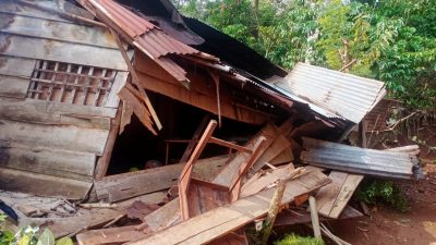 15 Rumah Warga di Perbatasan Lambar dan Tanggamus Rusak Diserang Kawanan Gajah Liar