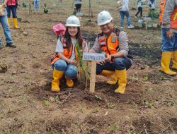 Kadivre Jatim Pimpin Langsung Penaburan Serentak Benih Pinus di BKPH Sukosari KPH Bondowoso