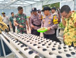 Kapolsek Krian Tinjau Program Ketahanan Pangan di Desa Ponokawan