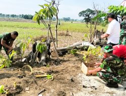 Pembinaan Lingkungan Hidup, Kodim Bojonegoro dan Masyarakat Tanam Ribuan Bibit Pohon Penghijauan