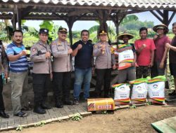 Polsek Krian Berikan Bantuan Bibit Jagung dan Pupuk untuk Dukung Program Ketahan Pangan Nasional