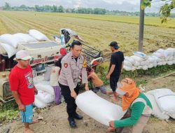 Polsek Tarik Berkomitmen Mendukung Program Asta Cita Ketahanan Pangan Nasional Melalui Koordinasi Dengan Para Petani