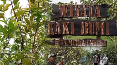 Wisata Kaki Bumi Petik Jambu, Destinasi Baru Sidoarjo yang Layak Diperhatikan Pemerintah Daerah