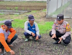 Bhabinkamtibmas Desa Bakung Temenggungan Pantau Pekarangan Pangan Bergizi