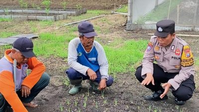Bhabinkamtibmas Desa Bakung Temenggungan Pantau Pekarangan Pangan Bergizi