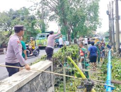 Cegah Banjir ke Perkampungan Warga, Bersama Bersihkan Sungai Desa Sekardangan dari Enceng Gondok