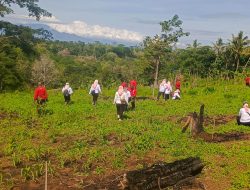 Dalam Rangka Percepatan Reboisasi, Jajaran Perhutani BKPH Sumber Wringin Laksanakan Giat Penanaman Bibit Pohon PBG