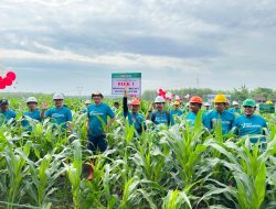 Kepala Perhutani Divre Jatim Groundbreaking Tanaman 2024, Jadi Pemenang Hijaukan Negeri