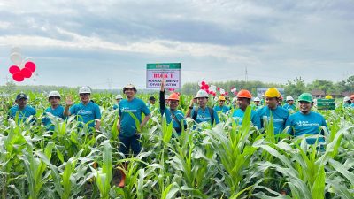 Kepala Perhutani Divre Jatim Groundbreaking Tanaman 2024, Jadi Pemenang Hijaukan Negeri