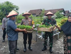 Penyerahan Bibit Tanaman dan Penyuluhan Ketahanan Pangan di Tambak Kalisogo Jabon