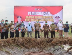 Pj. Bupati Lumajang Apresiasi Polisi yang Berhasil Berhasil Ungkap Lahan Ganja Terbesar di Pulau Jawa