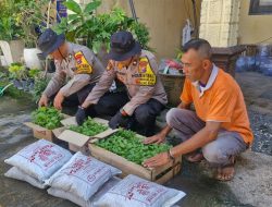 Polsek Balongbendo Salurkan Pupuk dan Bibit Tanaman untuk Lahan Pangan Bergizi