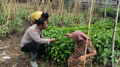Polsek Jabon Bersama Warga Bangunsari Siapkan Lahan Produktif Wujudkan Ketahanan Pangan