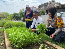 Polsek Sedati Siap Pekarangan Pangan Bergizi di Desa Buncitan