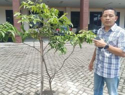 Dengan Uang Pribadinya, Anggota DPRD Kabupaten Mojokerto dari Fraksi PKS Arif Afifuddin Tanami Pohon Berbuah di Halaman Parkir Gedung Dewan