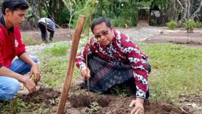 Dalam Rangka HUT ke-3, Destinasi Wisata Beach Forest Gelar Reboisasi dan Sedekah Oksigen