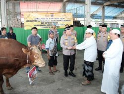Dukung Acara Guru Sekumpul, Kapolri Berikan Empat Ekor Sapi Limousin