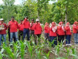 Mendukung Program Sedekah Oksigen, Perhutani BKPH Panarukan Bersama IIK Tanam Bibit Jati di Hutan RPH Bungatan