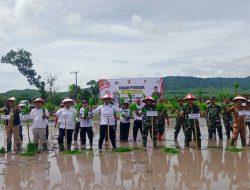 Jaga Ketahanan Pangan, HKTI Jember Tanam Padi Jenis HMS 700 Seluas 20 Hektare di Desa Lojejer