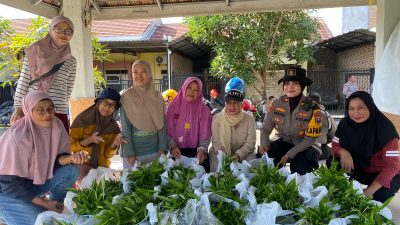 Panen Perdana Sayuran di Swan Regency, Warga Desa Buncitan Rasakan Manfaat Program Ketahan Pangan