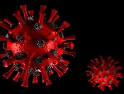 Virus HMPV Terdeteksi di Indonesia, Ini Cara Penularan