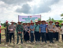 Desa Gampingrowo Dukung Program Ketahanan Pangan Melalui Penanaman Bibit Jagung