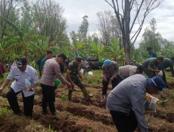 Gelorakan Swasembada Pangan, Polresta Banyuwangi Bersama Kelompok Tani Tanam Jagung Serentak
