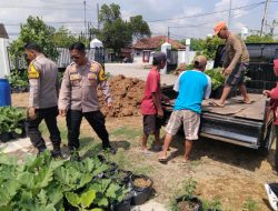 Gotong Royong Distribusikan Bibit Hortikultura di Desa Lemujut