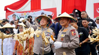 Irwasum Polri Pimpin Panen Jagung Serentak di Madiun, Wujudkan Astacita