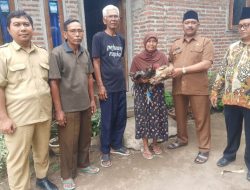 Rutinitas Semenjak Dilantik Hingga Kini, Kades Lebaksono KH. Afan Faizin Berikan Bantuan Sepasang Ayam kepada Warganya