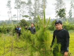 Laksanakan Instruksi Adm Perum Perhutani Bondowoso, Anton Sujarwo Adakan Pemeriksaan Lokasi Tanaman