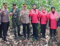 Memperkuat Ketahanan Pangan, Polres Bondowoso Launching Program Pekarangan Pangan Bergizi