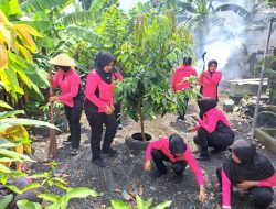 Ranting Tanggulangin Bhayangkari Cabang Kota Sidoarjo Kelolah Pekarangan Pangan Lestari