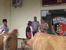 Satreskrim Polres Bondowoso Berhasil Temukan dan Kembalikan Sapi Hasil Curian