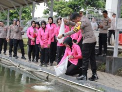 Tebar Benih Nila, Waka Polres Jember Tandai Launching Penguatan Program Pekarangan Pangan Lestari