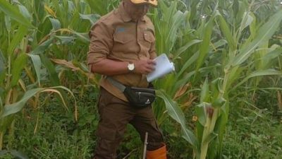 Wakil ADM Perum Perhutani KSKPH Bondowoso Utara Sidak Lokasi Tanaman Tahun 2022 – 2024 di BKPH Prajekan