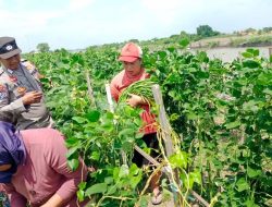 Bhabinkamtibmas Desa Kupang Sambangi Warga, Dukung Pekarangan Pangan Bergizi