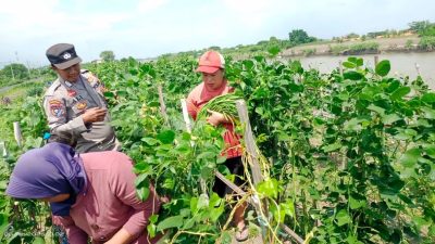 Bhabinkamtibmas Desa Kupang Sambangi Warga, Dukung Pekarangan Pangan Bergizi