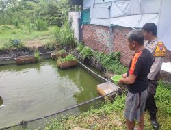 Bhabinkamtibmas Desa Ngaban Tinjau Budidaya Ikan Lele Warga, Dukung Swasembada Pangan