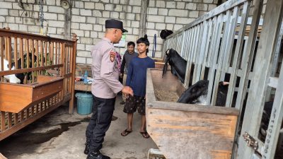 Bhabinkamtibmas Desa Ngelom Sambangi Peternakan Kambing Dukung Program sssaKatahanan Pangan
