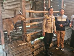 Bhabinkamtibmas Desa Tambak Oso Bersilaturahmi Dengan Warga Sambil Cek Pekarangan Pangan Bergizi