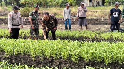 Bhabinkamtibmas Desa Gamping Maksimalkan Penanaman Kangkung Program Ketahanan Pangan